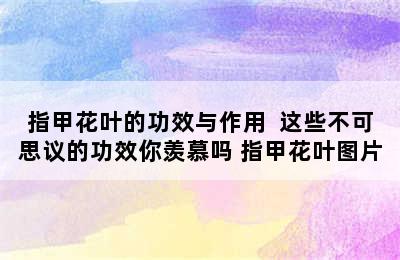 指甲花叶的功效与作用  这些不可思议的功效你羡慕吗 指甲花叶图片